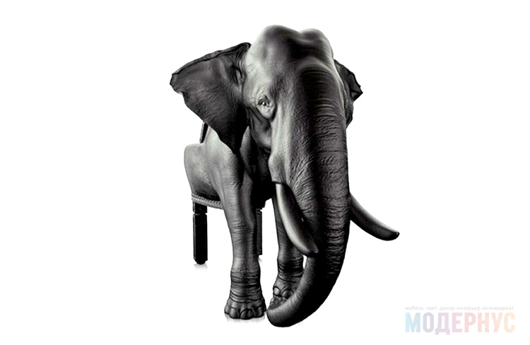 дизайнерское кресло Elephant модель от Maximo Riera, фото 3