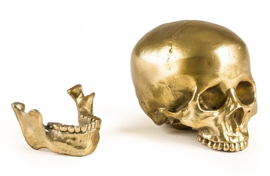 декоративная статуэтка Human Skull модель Seletti фото 6