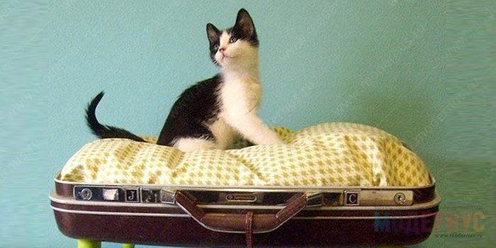 Дизайнерская лежанка-чемодан для домашних животных