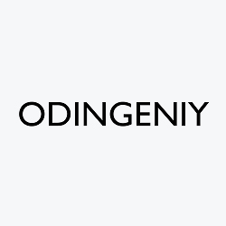 Творческая мастерская Odingeniy logo designer